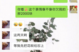 大宁要账公司更多成功案例详情